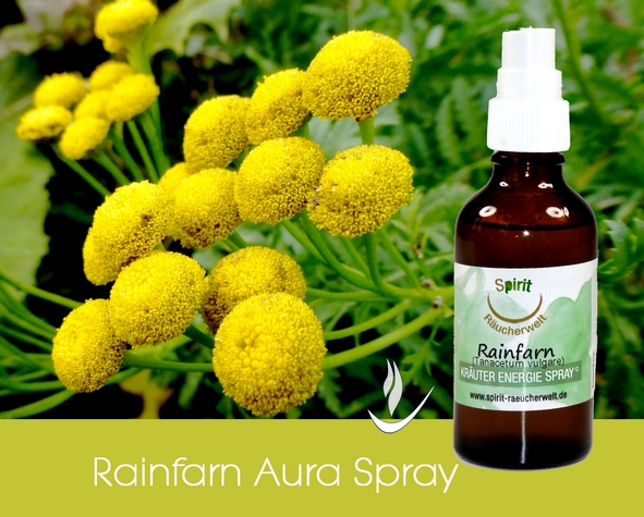 Rainfarn | Energie und Aura Spray - 50ml