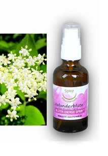 Holunderblüten | Energie und Aura Spray - 50ml