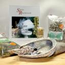 Muschelset mit Weißem Salbei, Sweetgras, Copal